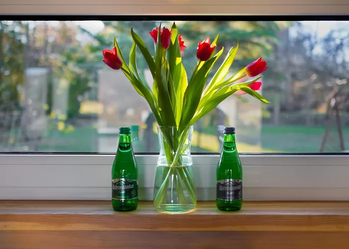 Domek B - Domki W Gorach Z Prywatnym Spa - 4 Seasons Lodges Ustron